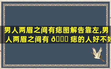 男人两眉之间有痣图解告靠左,男人两眉之间有 🐅 痣的人好不好